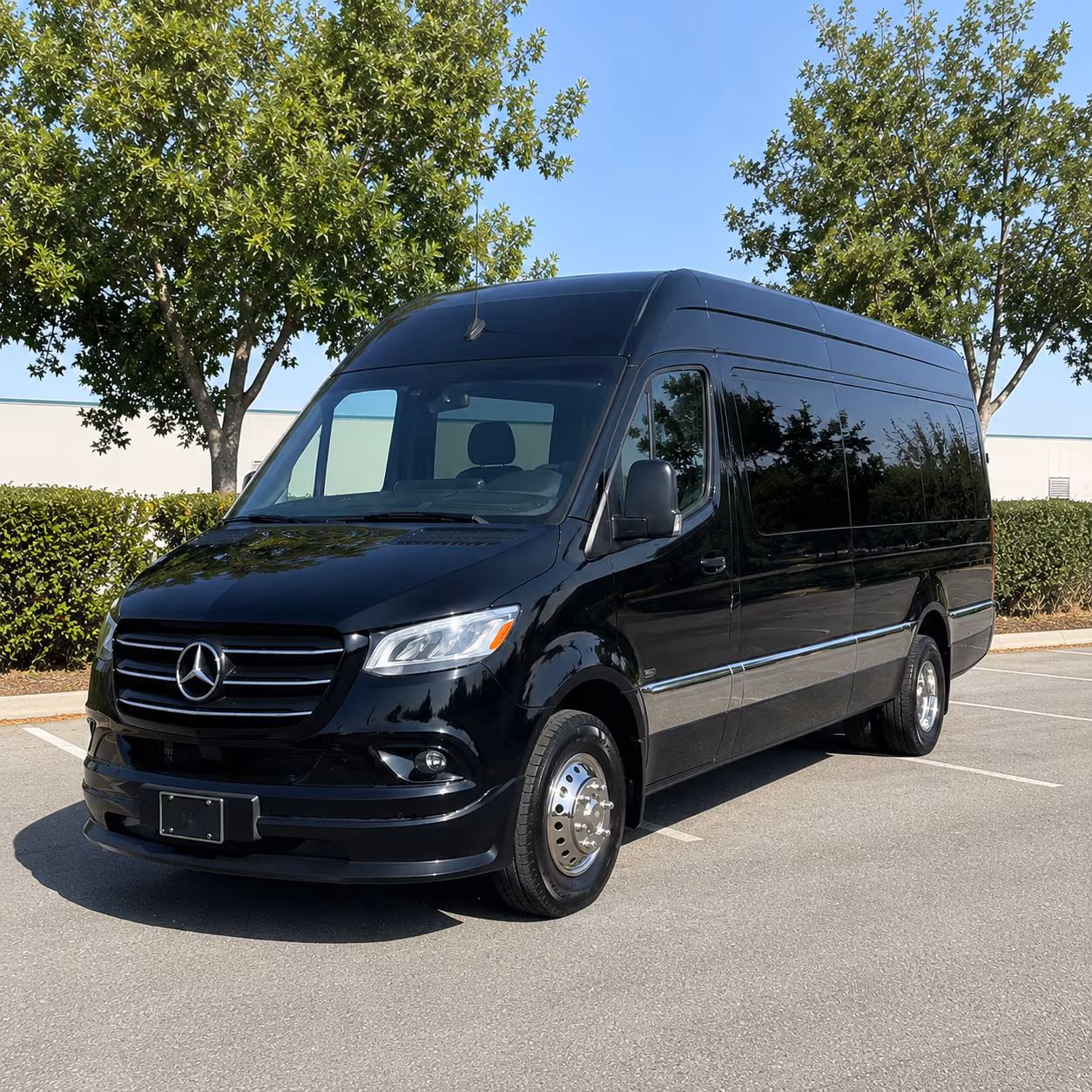 Sprinter Van