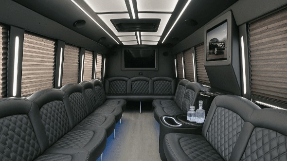 20 passenger party bus interior