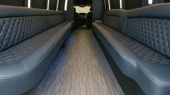 50 passenger party bus interior